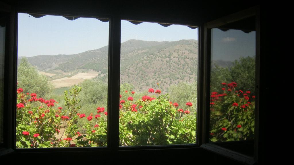 Finca La Piedra Holidays Alora Chambre photo